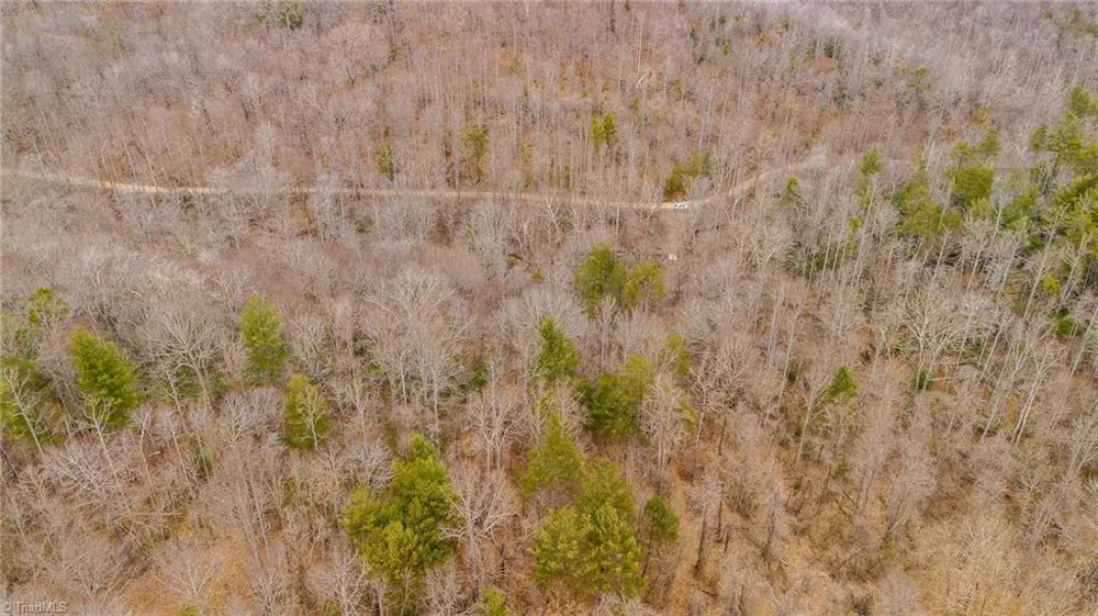 TBD E Brocktown Road Moravian Falls, NC 28654
