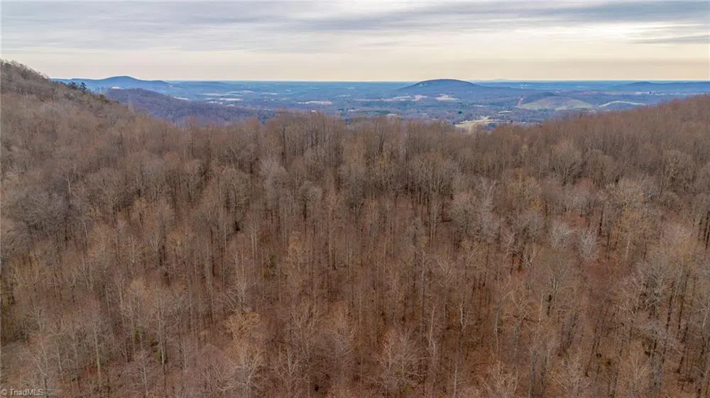 TBD E Brocktown Road Moravian Falls, NC 28654