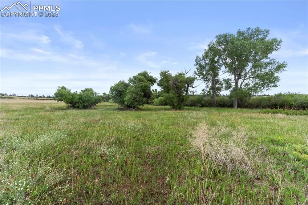 0 E Cherry Creek Road Larkspur, CO 80118