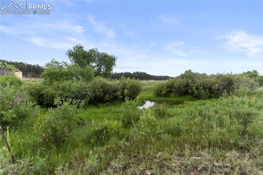 0 E Cherry Creek Road Larkspur, CO 80118