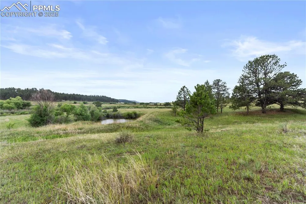 0 E Cherry Creek Road Larkspur, CO 80118