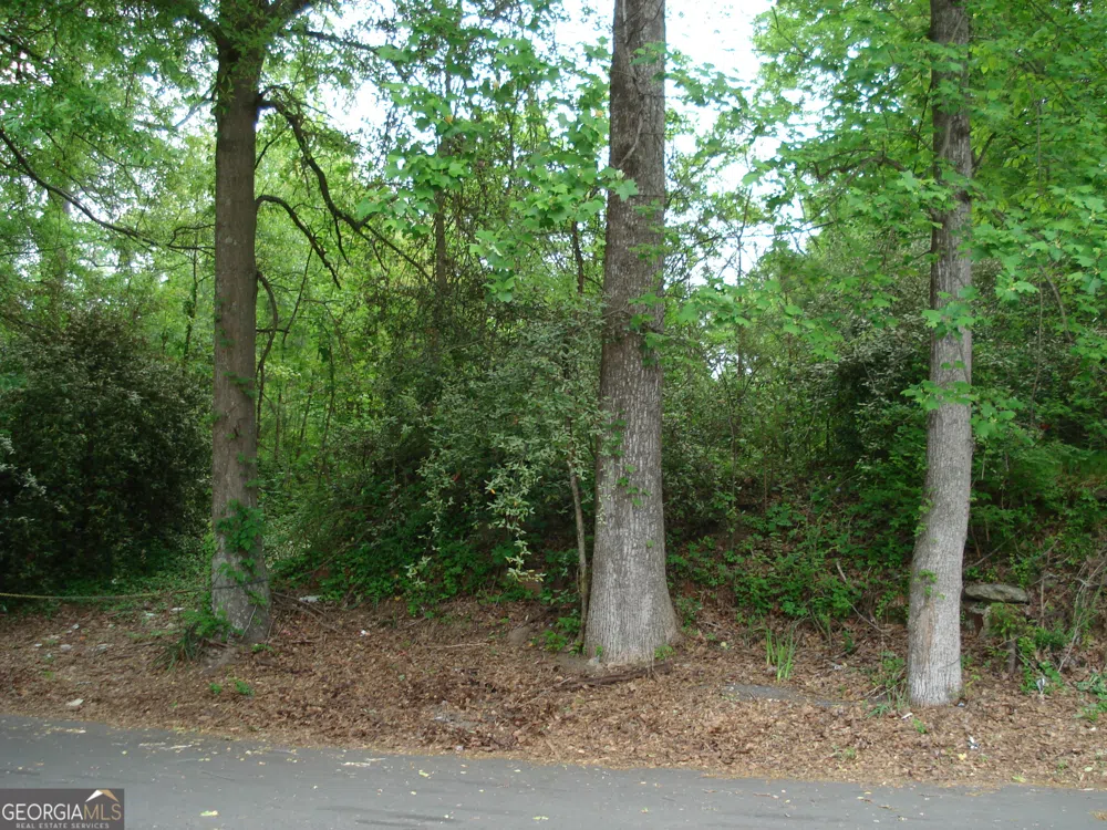 0 Morehouse DR NW Atlanta, GA 30314