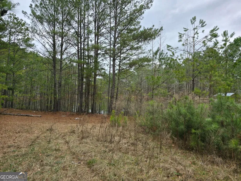 3016 Loganville HWY Loganville, GA 30052