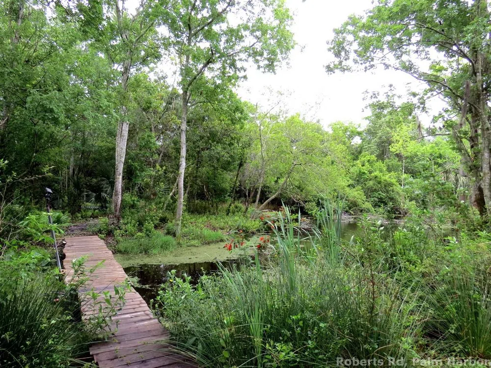ROBERTS ROAD Palm Harbor, FL 34683