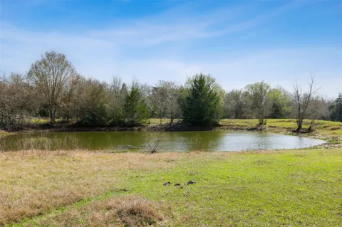 6804 County Road 126