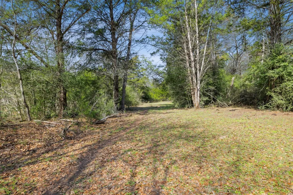 6804 County Road 126 Caldwell, TX 77836
