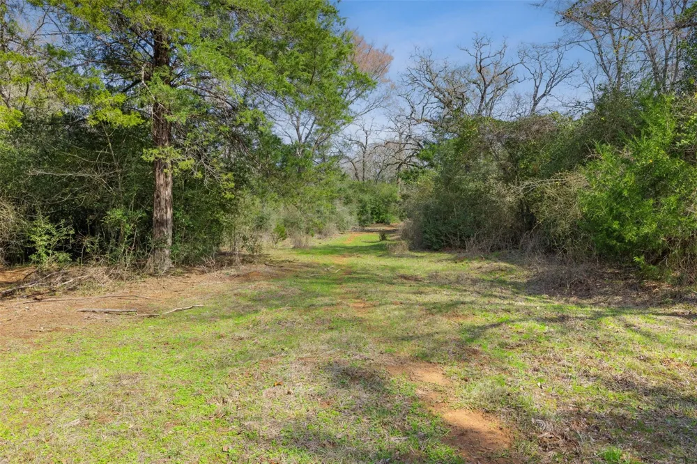 6804 County Road 126 Caldwell, TX 77836