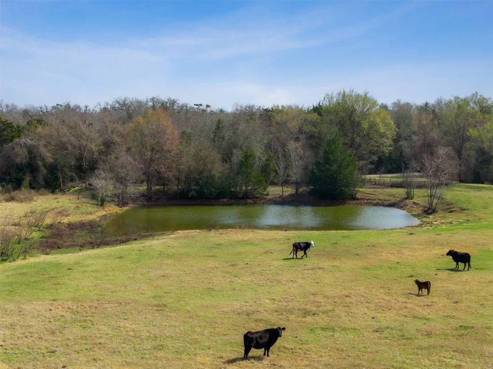 6804 County Road 126 Caldwell, TX 77836