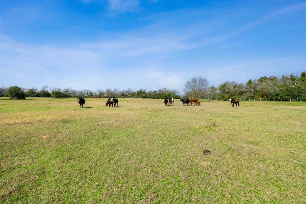 6804 County Road 126 Caldwell, TX 77836