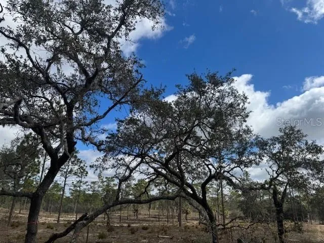 SE STATE ROAD 121 LOT A & B Morriston, FL 32668