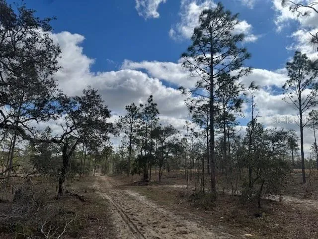 SE STATE ROAD 121 LOT A & B Morriston, FL 32668