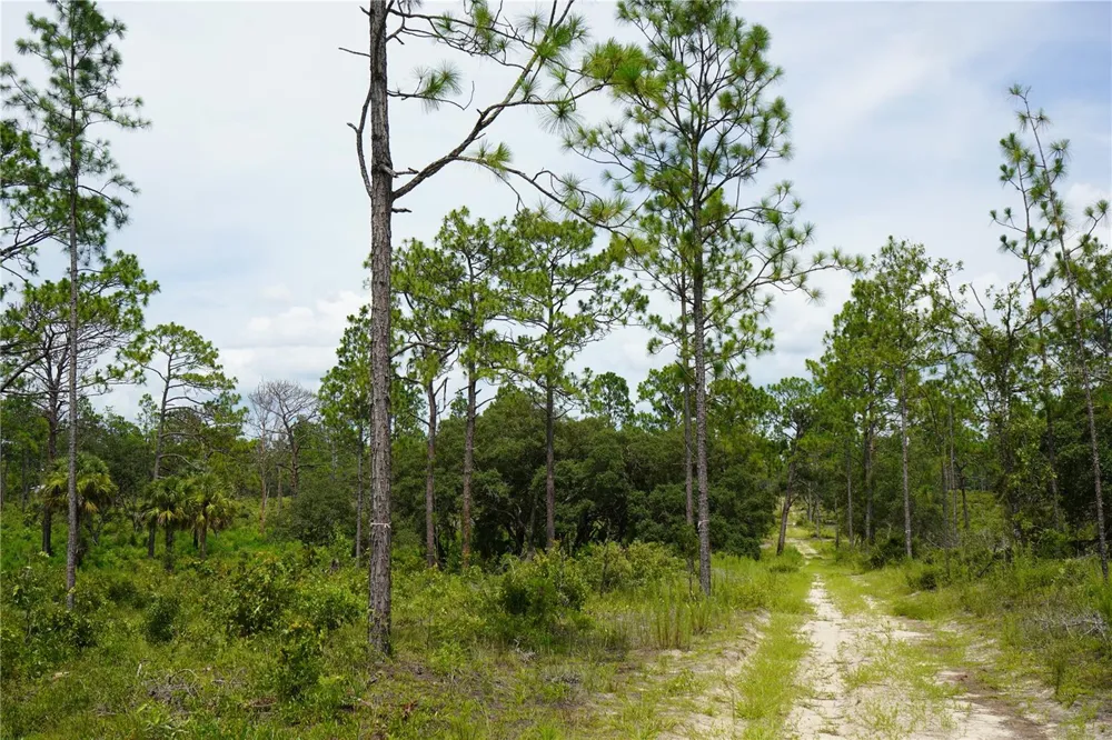 SE STATE ROAD 121 LOT A & B Morriston, FL 32668
