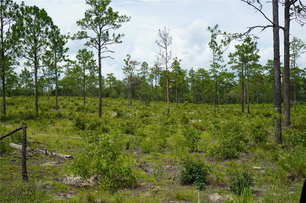 SE STATE ROAD 121 LOT A & B Morriston, FL 32668