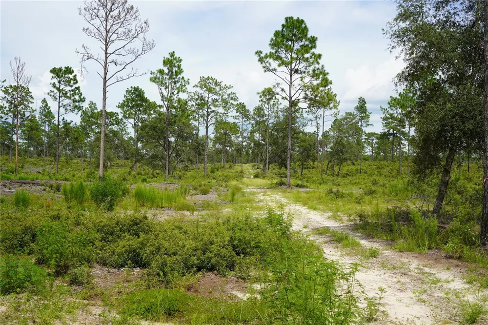 SE STATE ROAD 121 LOT A & B Morriston, FL 32668