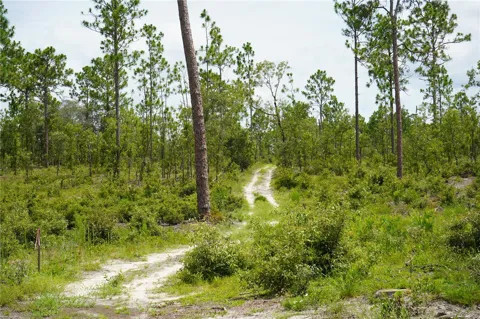 SE STATE ROAD 121 LOT A & B