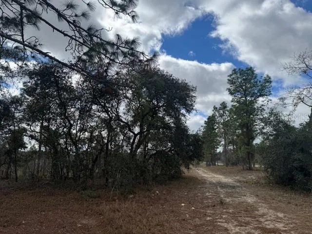 SE STATE ROAD 121 LOT A & B Morriston, FL 32668