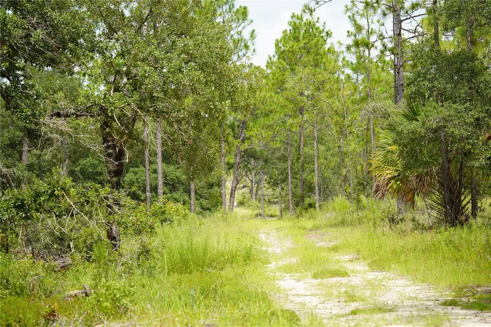 SE STATE ROAD 121 LOT A & B Morriston, FL 32668
