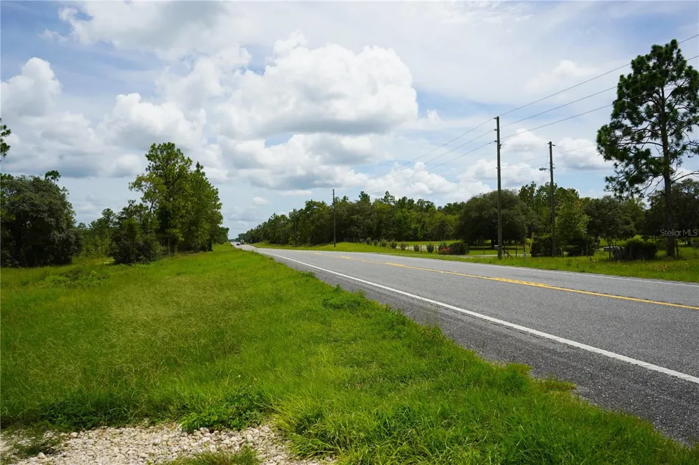 SE STATE ROAD 121 LOT C & D Morriston, FL 32668