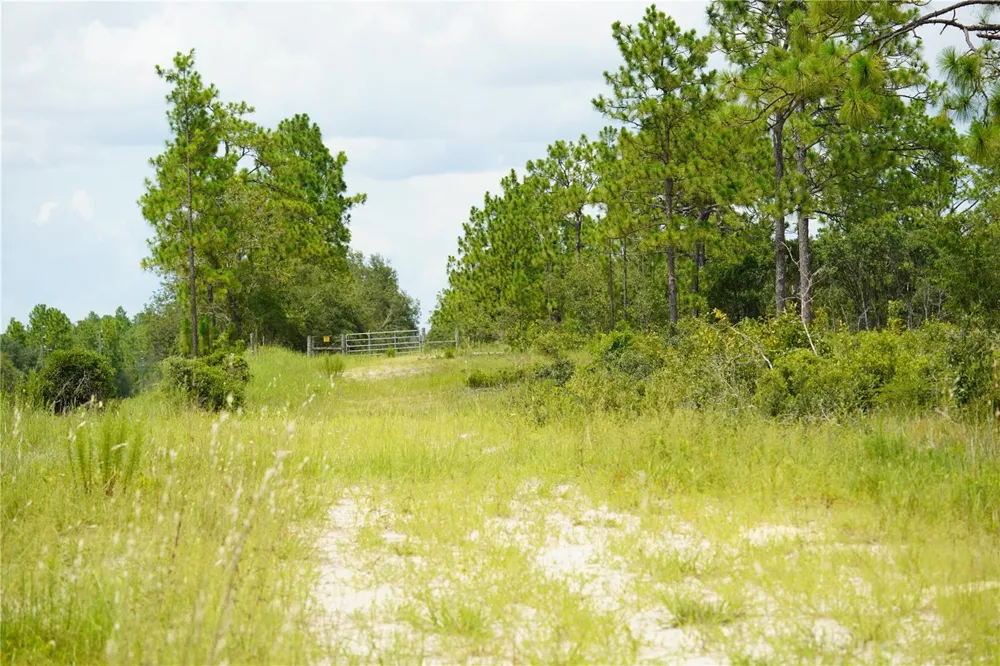 SE STATE ROAD 121 LOT C & D Morriston, FL 32668