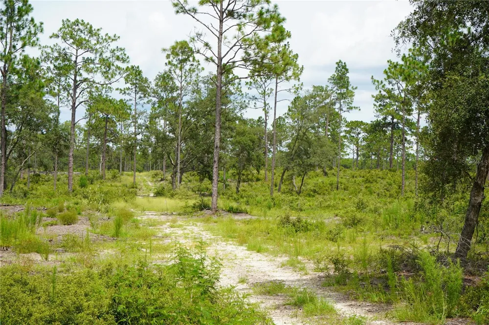 SE STATE ROAD 121 LOT C & D Morriston, FL 32668