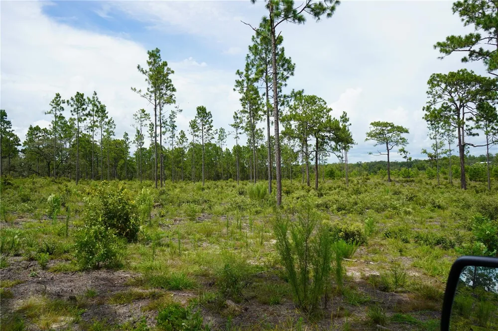 SE STATE ROAD 121 LOT C & D Morriston, FL 32668