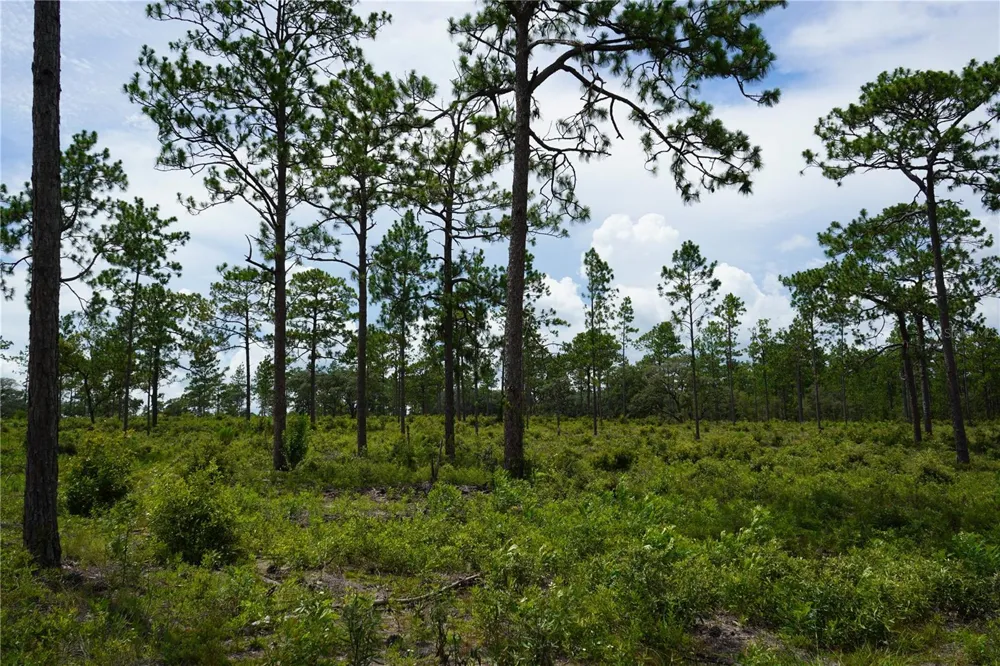 SE STATE ROAD 121 LOT C & D Morriston, FL 32668