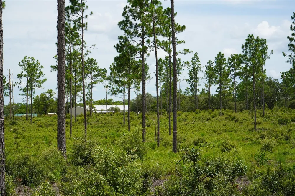 SE STATE ROAD 121 LOT C & D Morriston, FL 32668