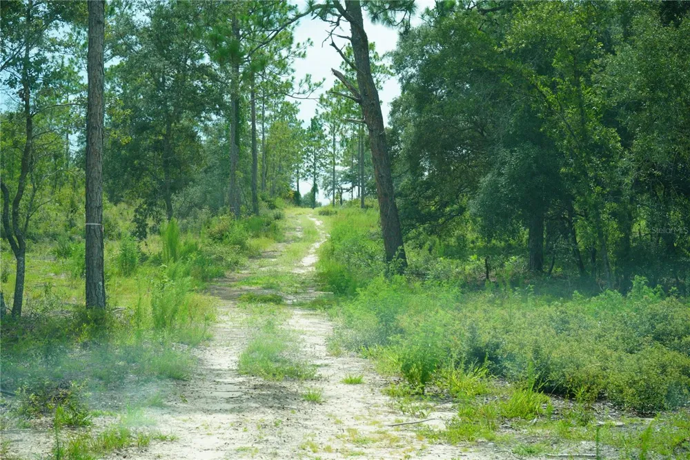 SE STATE ROAD 121 LOT C & D Morriston, FL 32668