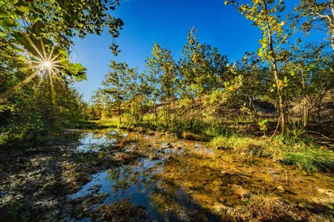 FM 2843