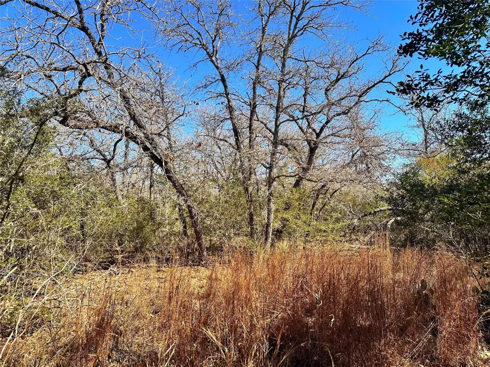 Wood Haven Drive Waelder, TX 78959