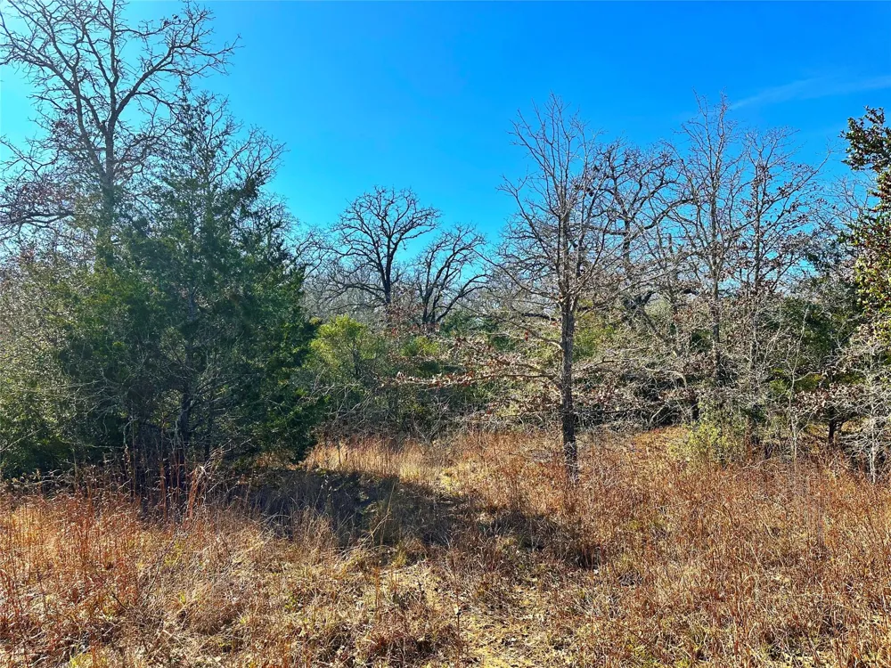 Wood Haven Drive Waelder, TX 78959