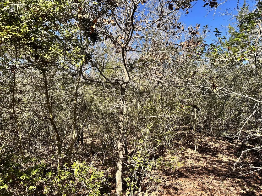 Wood Haven Drive Waelder, TX 78959