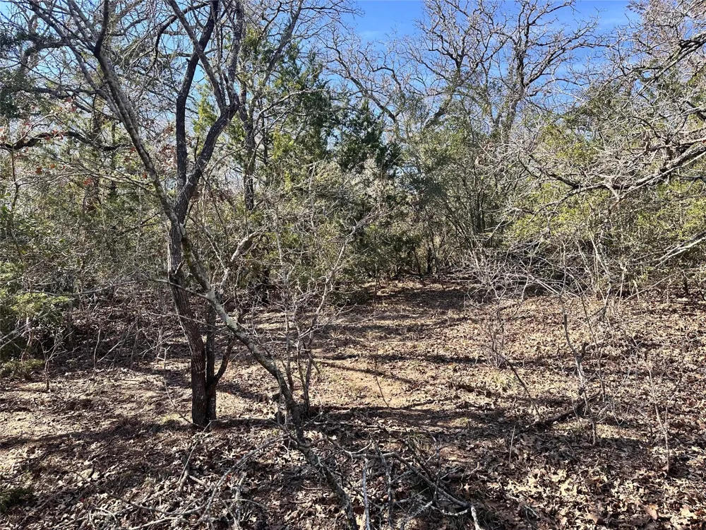 Wood Haven Drive Waelder, TX 78959