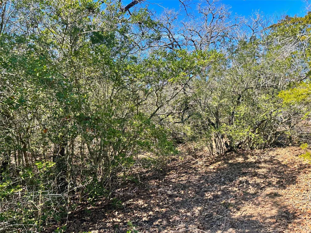 Wood Haven Drive Waelder, TX 78959