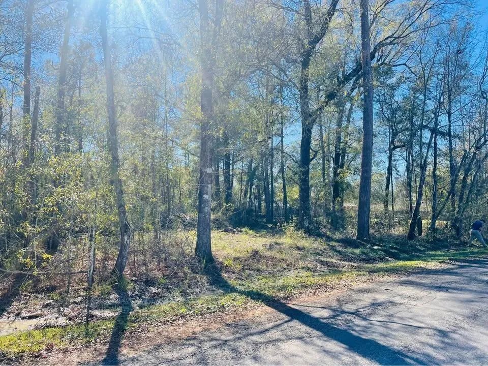 Paricia Street Orange, TX 77632