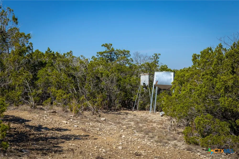 837 Crystal Peak Drive Fischer, TX 78623