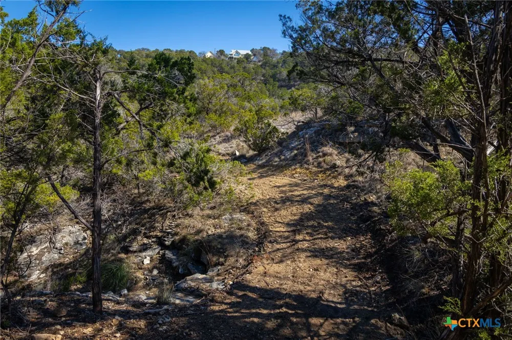 837 Crystal Peak Drive Fischer, TX 78623