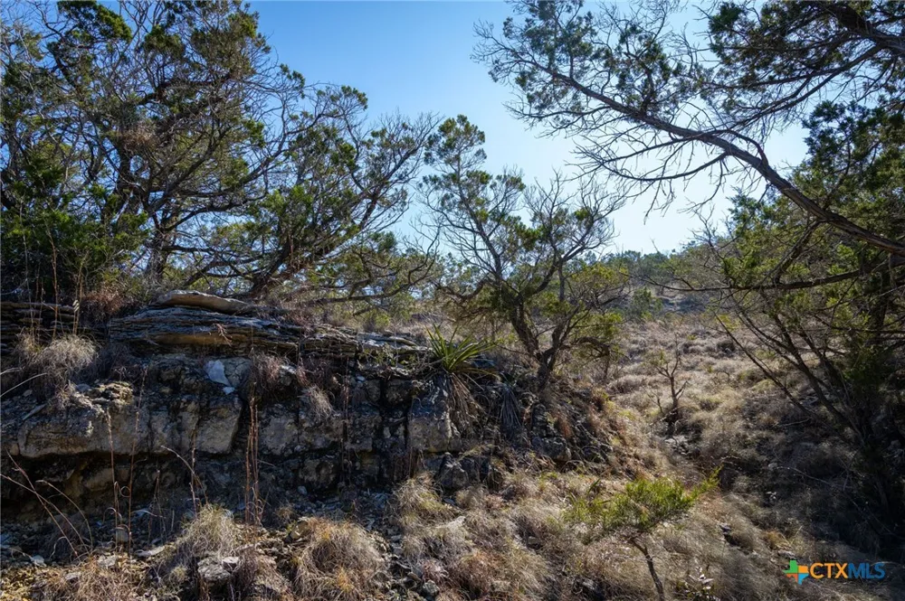 837 Crystal Peak Drive Fischer, TX 78623