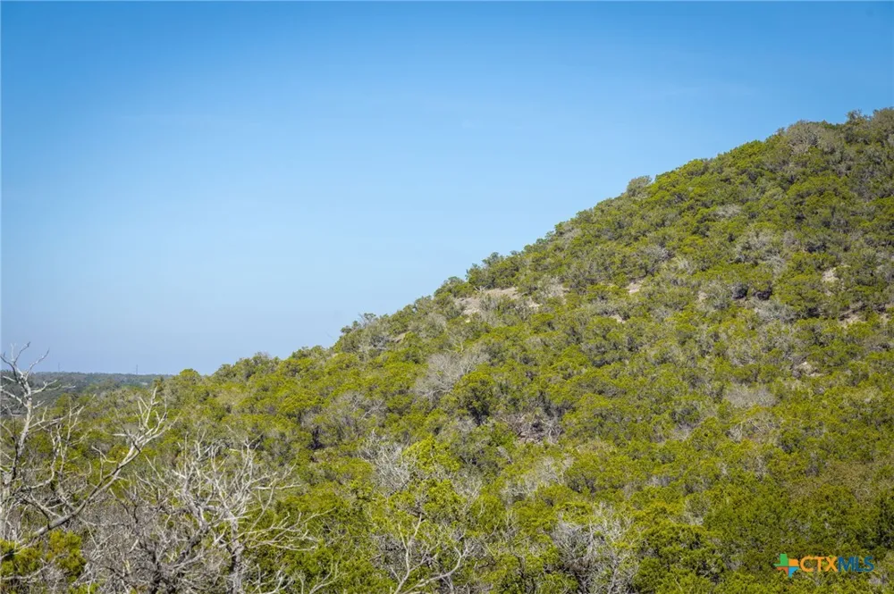 837 Crystal Peak Drive Fischer, TX 78623