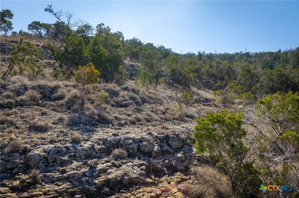 837 Crystal Peak Drive Fischer, TX 78623