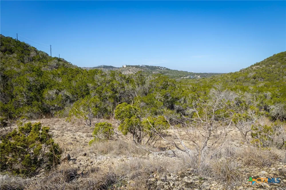 837 Crystal Peak Drive Fischer, TX 78623