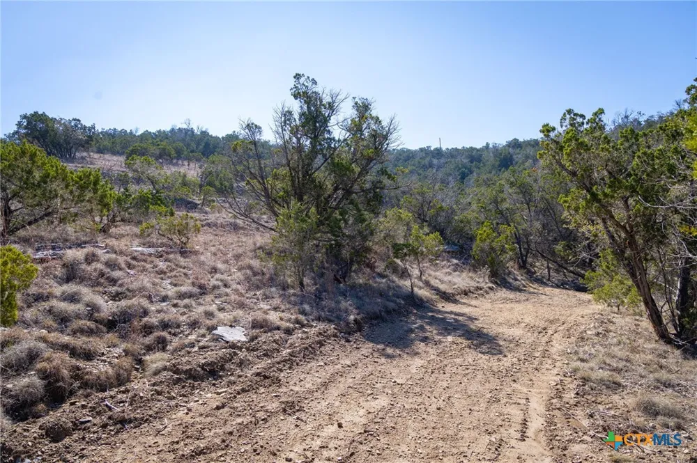 837 Crystal Peak Drive Fischer, TX 78623