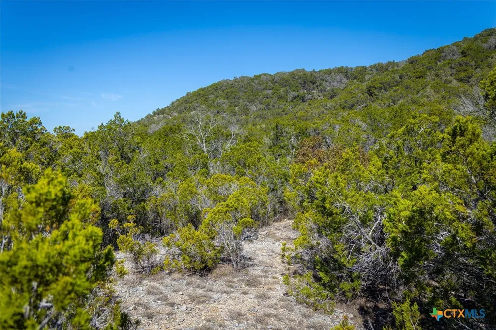 837 Crystal Peak Drive Fischer, TX 78623