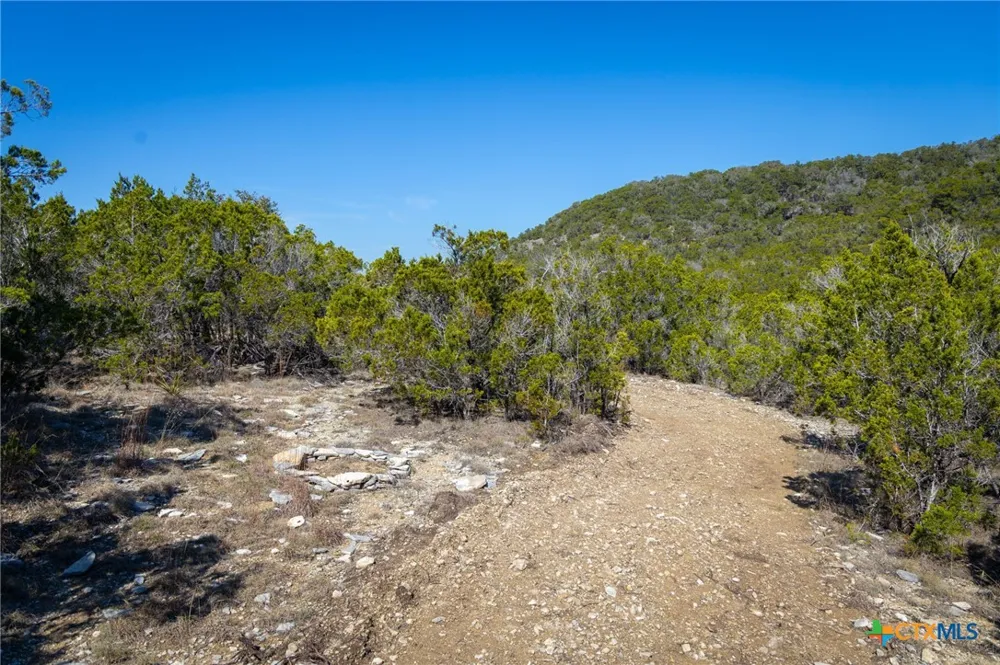 837 Crystal Peak Drive Fischer, TX 78623