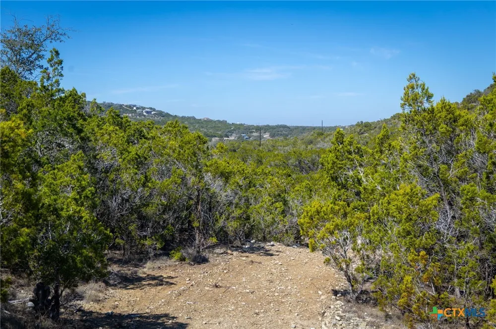 837 Crystal Peak Drive Fischer, TX 78623