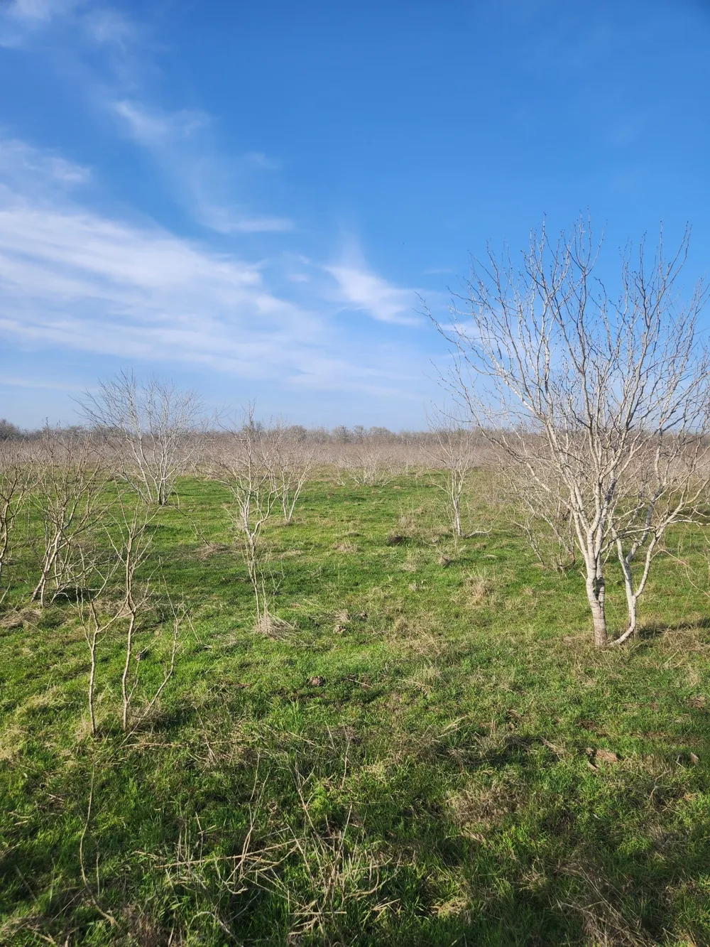 323 CR 446 Gonzales, TX 78629