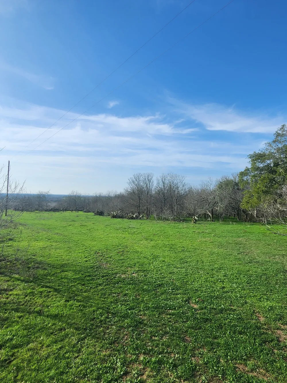 323 CR 446 Gonzales, TX 78629