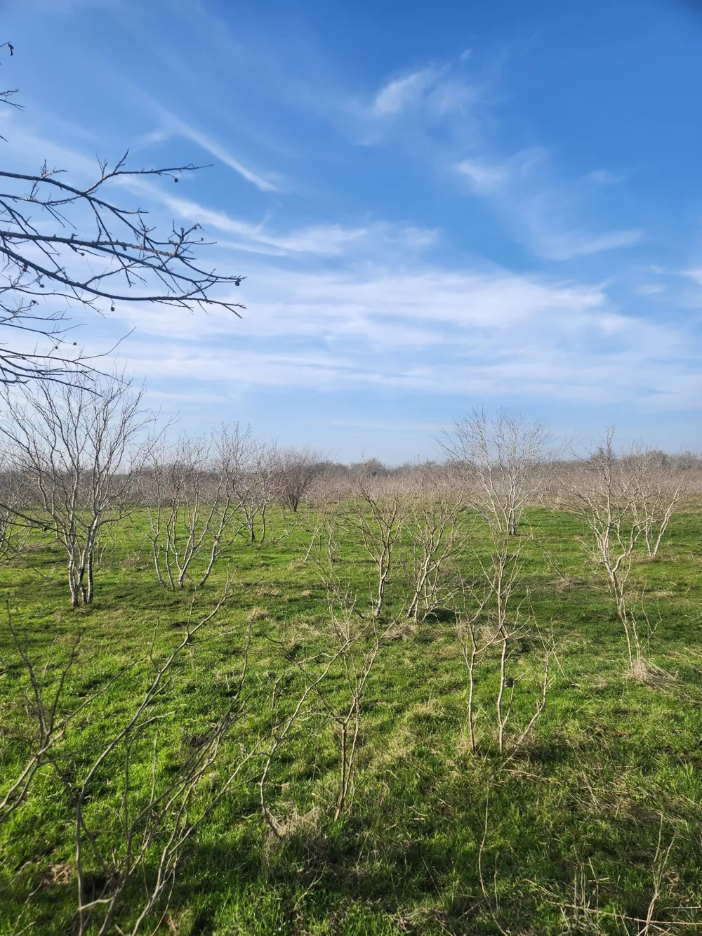 323 CR 446 Gonzales, TX 78629
