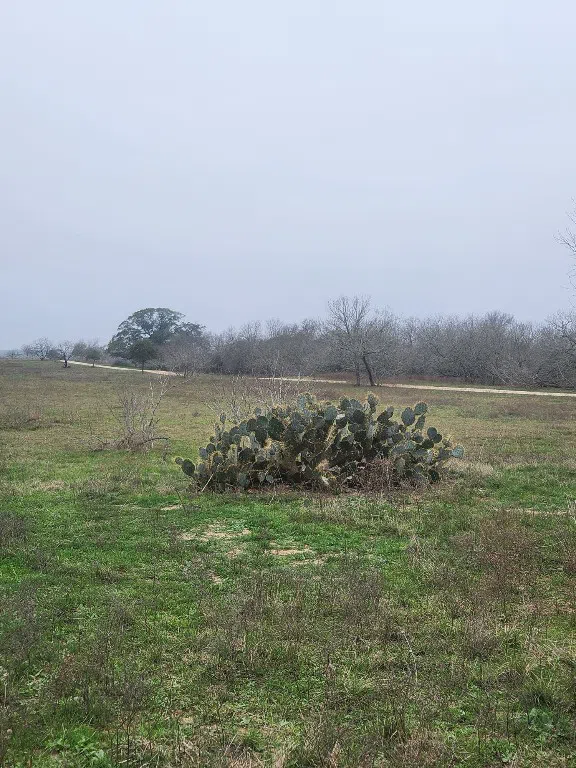323 CR 446 Gonzales, TX 78629
