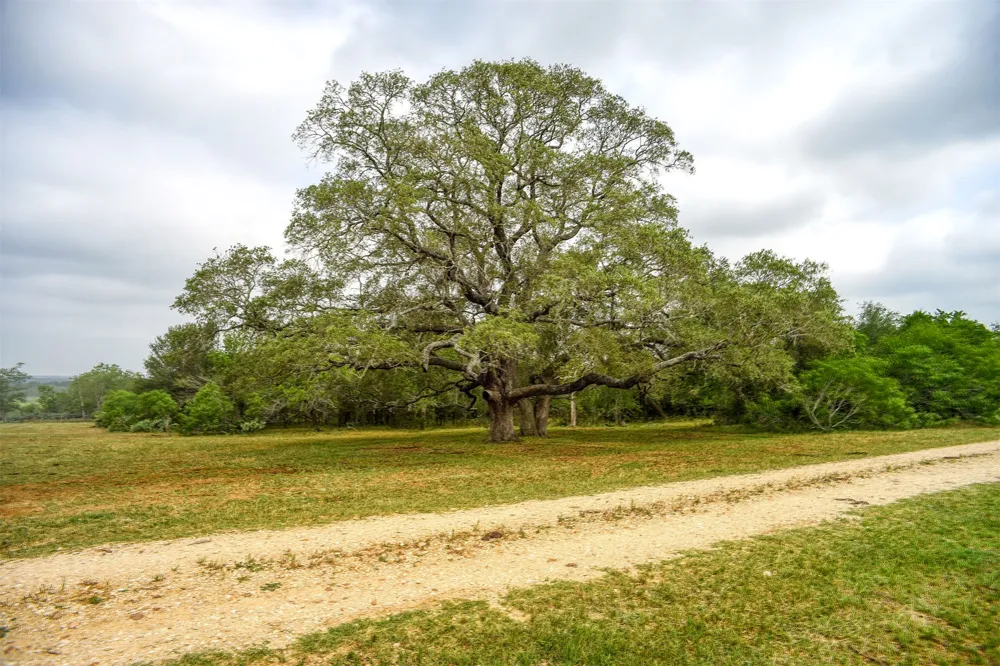 323 CR 446 Gonzales, TX 78629